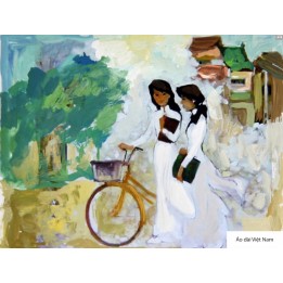 Ao Dai  Việt Nam